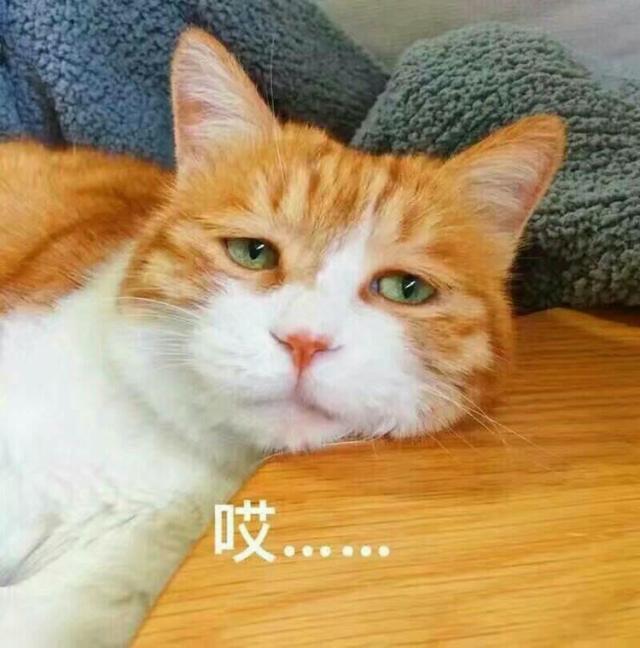 ²۴_ҪŮѡl(wi)ϴ^áW(wng)R