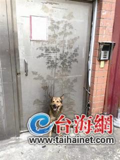 Єȫ_Ȯ]¾ͺ(D)