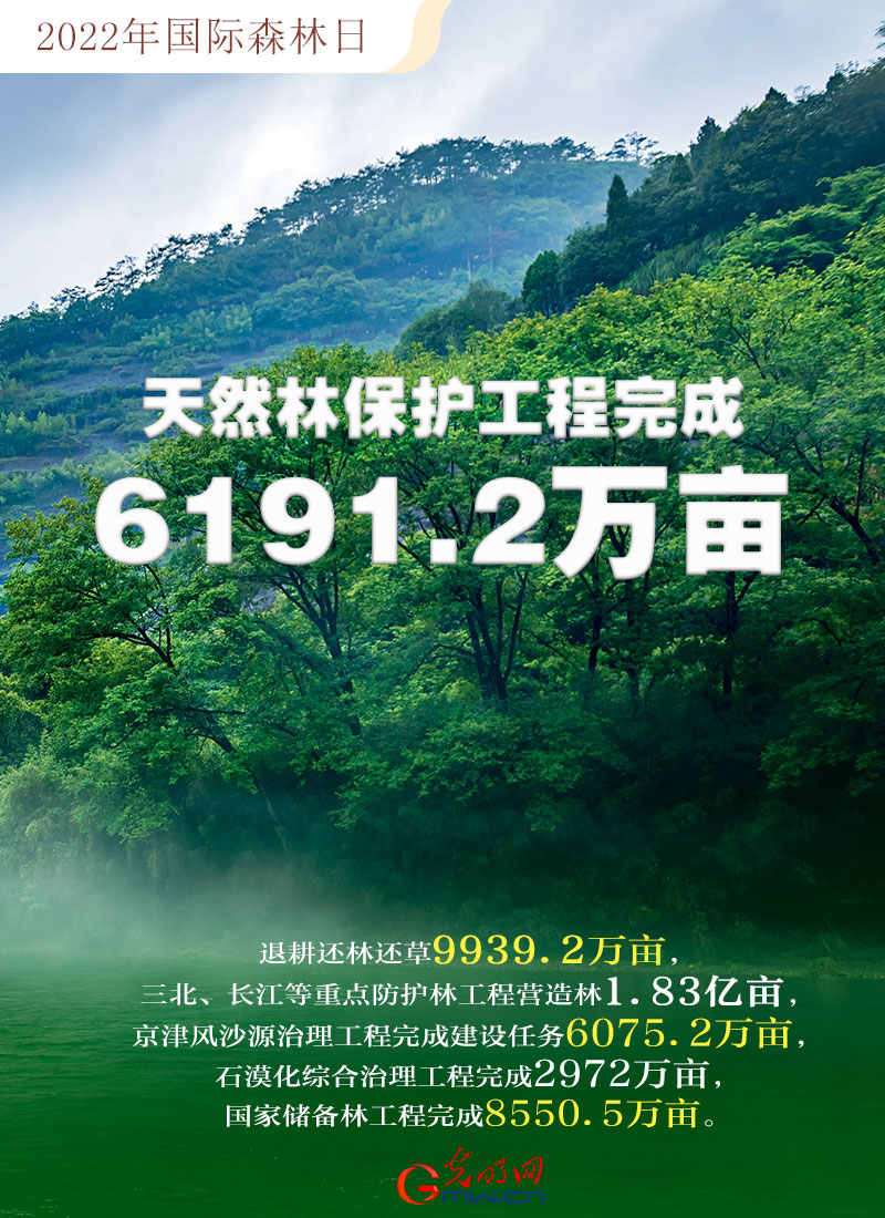 (bo)2022(gu)Hɭգ(sh)xȫGЇ(gu)ؕI(xin)